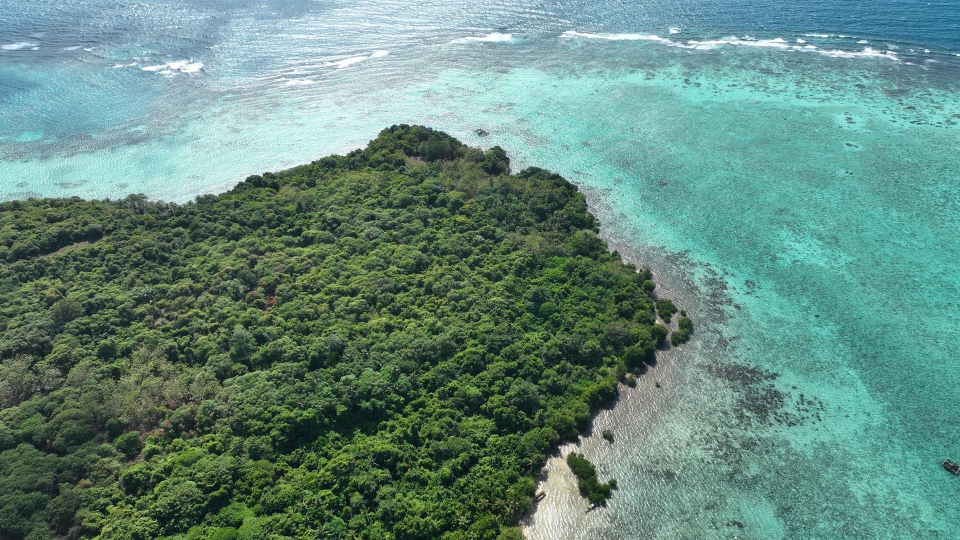 Tanjung berhutan lebat di tepi pulau dengan gradasi terumbu karang.